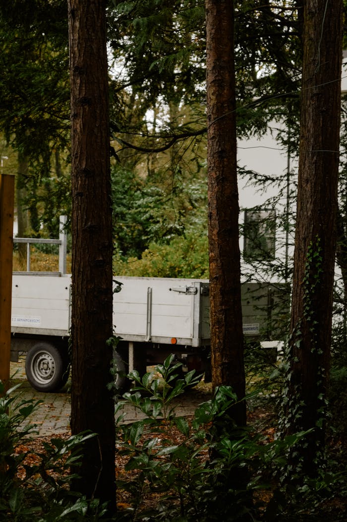 About A white truck parked amidst tall trees in a forest setting, showcasing transportation in nature.